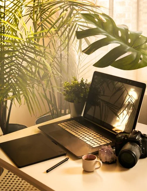our-story Back view of crop anonymous male freelancer sitting at table and working on project on laptop in light room in daytime